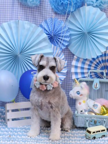 20231114むぎちゃん